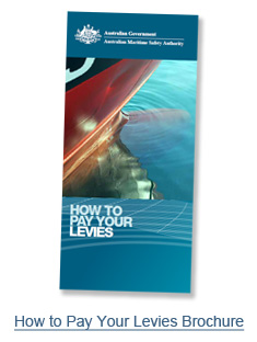 Levies brochure image