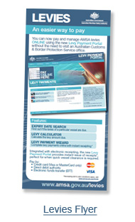 Levies flyer image